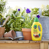 MIRACLE GRO ALL-PURPOSE CONCENTRATE FOOD 2.5LTR