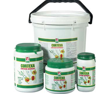 CORTEXA 1KILO