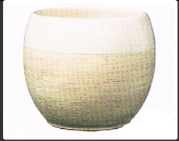 ALBERTA FASHION 15cm SHINY CREAM/WOOD OPTICS CREAM