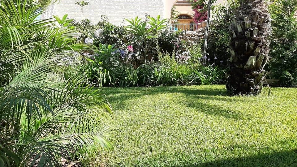 Transforming your outdoors