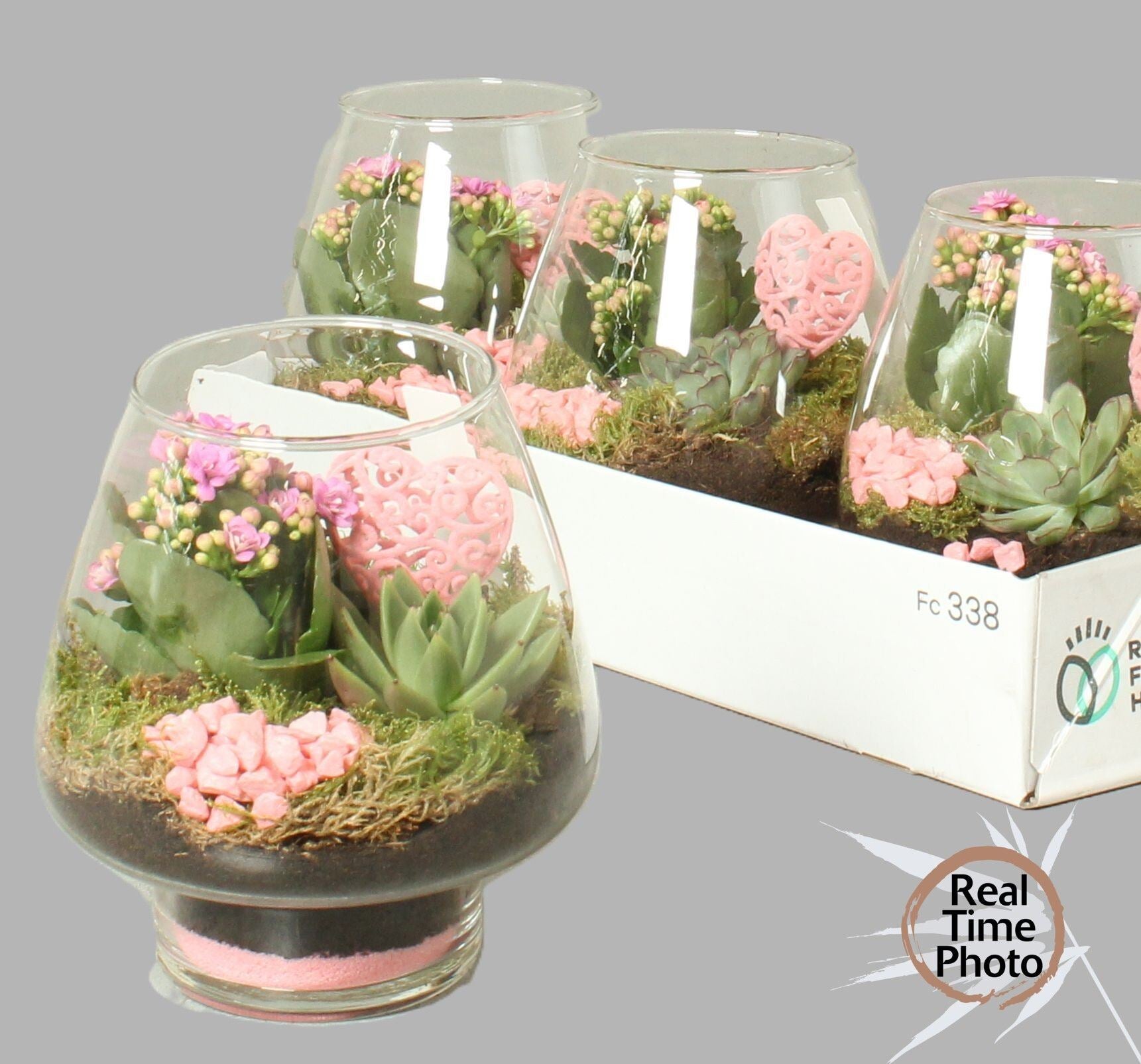 Indoor arrangement in glass bowl