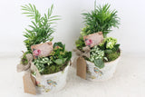 Arrangement plants in bowl