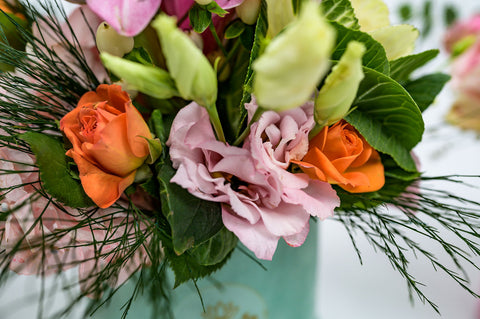 Miriam * Colours may vary* – Xerri's Garden Centre